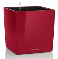 Plantenbak Lechuza Cube 30 diverse kleuren All-in-one set