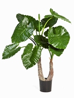 Kunstplant Alocasia Calidora toef