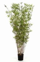 Kunstplant Bamboe oriental toef 130 cm