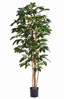 Kunstplant Coffea arabica 120 cm