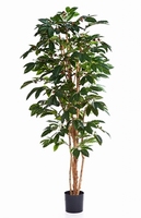 Kunstplant Coffea arabica 150 cm