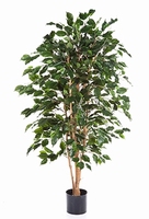 Kunstplant Ficus exotica 180 cm