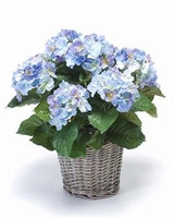 Kunstplant Hortensia blauw in mand
