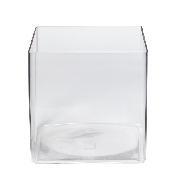 Accubak glas groot vierkant 25 cm
