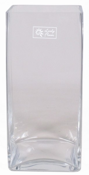 Accuvaas glas langwerpig breed 30 cm hoog heavy glas