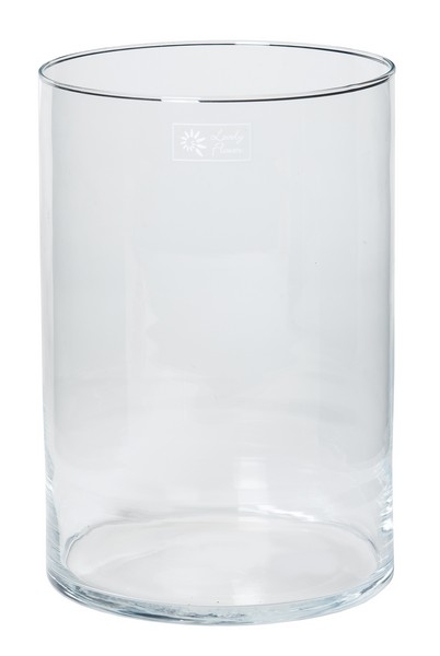 Cilinder vaas glas &Oslash; 20 cm met een hoogte van 30 cm