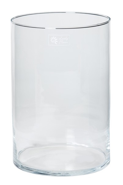 Cilinder vaas glas &Oslash; 20 cm met een hoogte van 30 cm