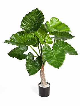 Kunstplant Alocasia Calidora