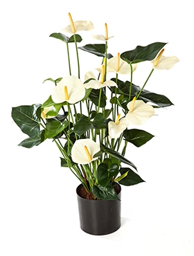 Kunstplant Anthurium de luxe wit