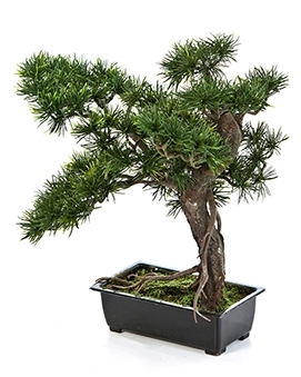 Kunstplant Bonsai pinus 38 cm