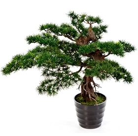 Kunstplant Bonsai pinus 47 cm