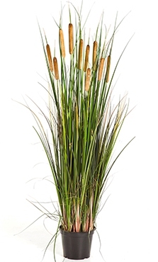 Kunstplant Cattail grass