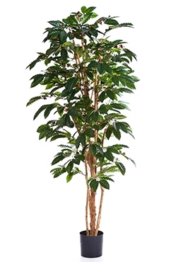 Kunstplant Coffea arabica 120 cm