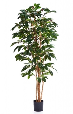 Kunstplant Coffea arabica 150 cm