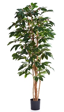 Kunstplant Coffea arabica 180 cm