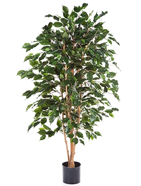 Kunstplant Ficus exotica 120 cm