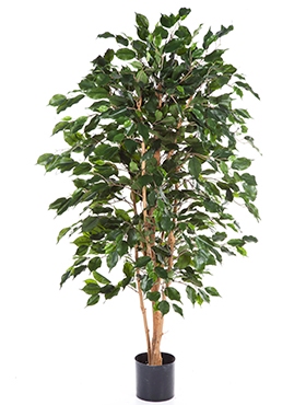 Kunstplant Ficus exotica 150 cm