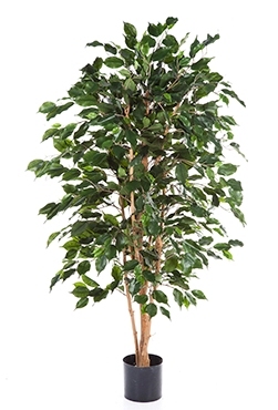 Kunstplant Ficus exotica 180 cm