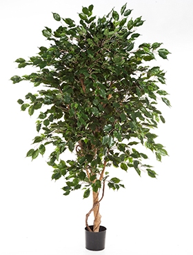 Kunstplant Ficus exotica de luxe 210 cm