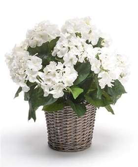 Kunstplant Hortensia wit in mand