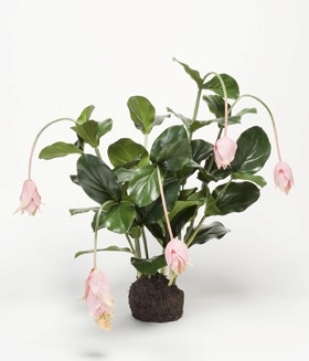 Kunstplant Medinilla roze