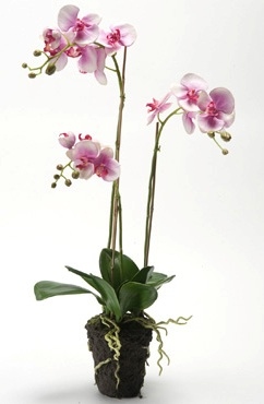 Kunstplant Phalaenopsis fuchsia