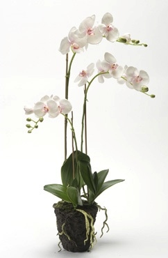 Kunstplant Phalaenopsis pink soiled