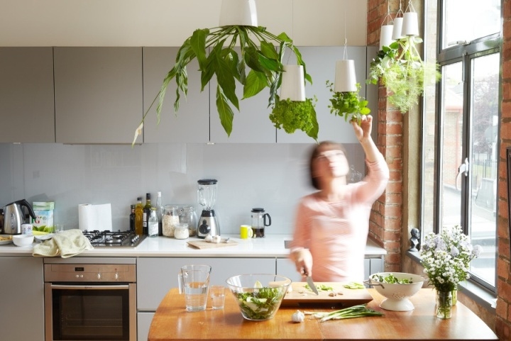 Sky planter- planten op zijn kop