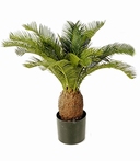 Kunstplant Cycas 65 cm