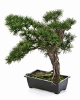 Kunstplant Bonsai pinus 38 cm