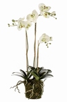 Kunstplant Phalaenopsis with moss light green