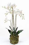 Kunstplant Phalaenopsis with moss white L